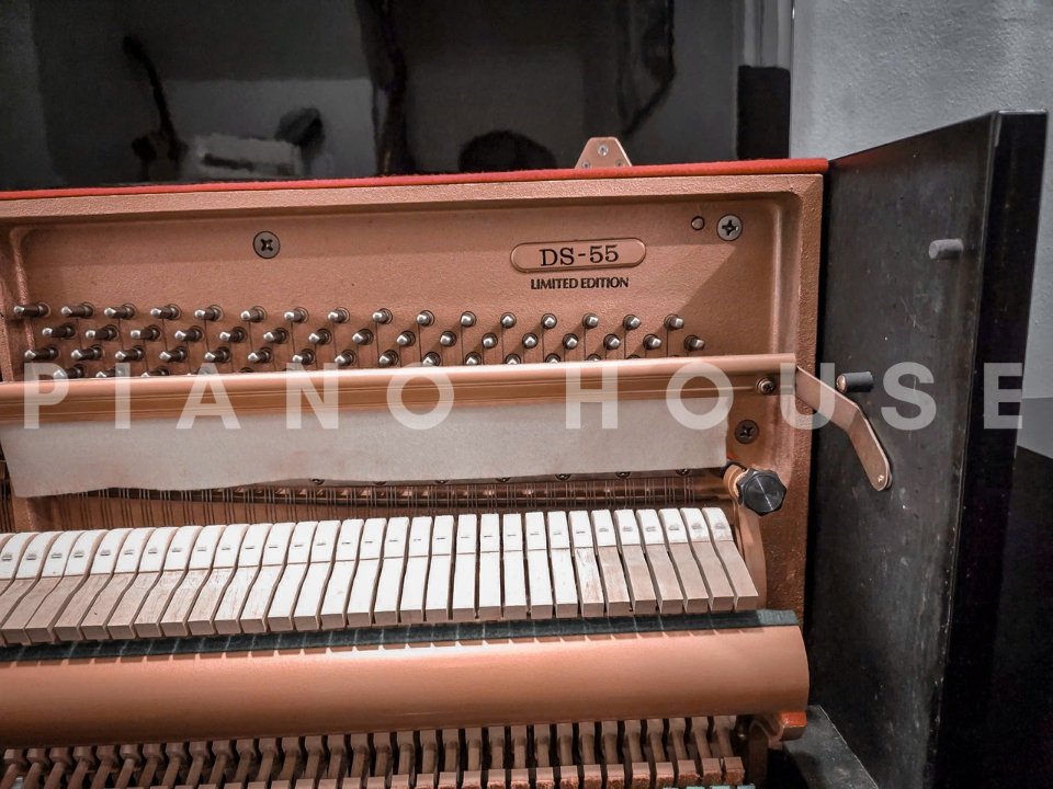 Chi tiết đàn KAWAI DS-55 (Limited Edition) - Hình 4